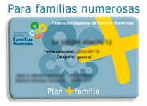 Ayudas a las familias numerosas