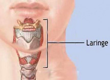 Intervención Logopédica en el Cáncer de Laringe