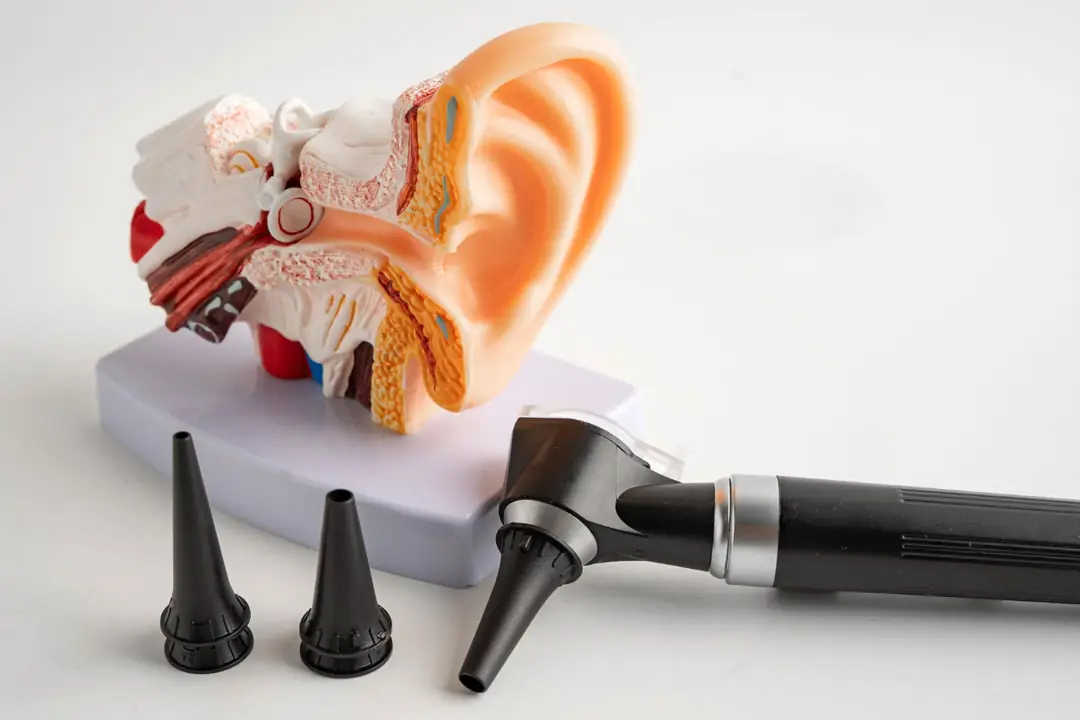 Otoscopio y modelo de oido